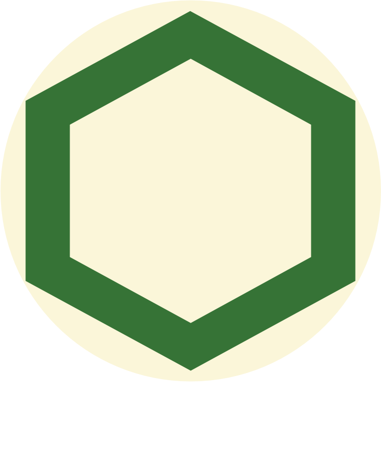 Shield image