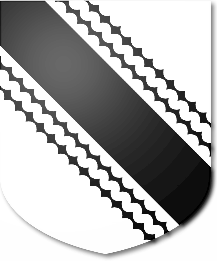 Shield image