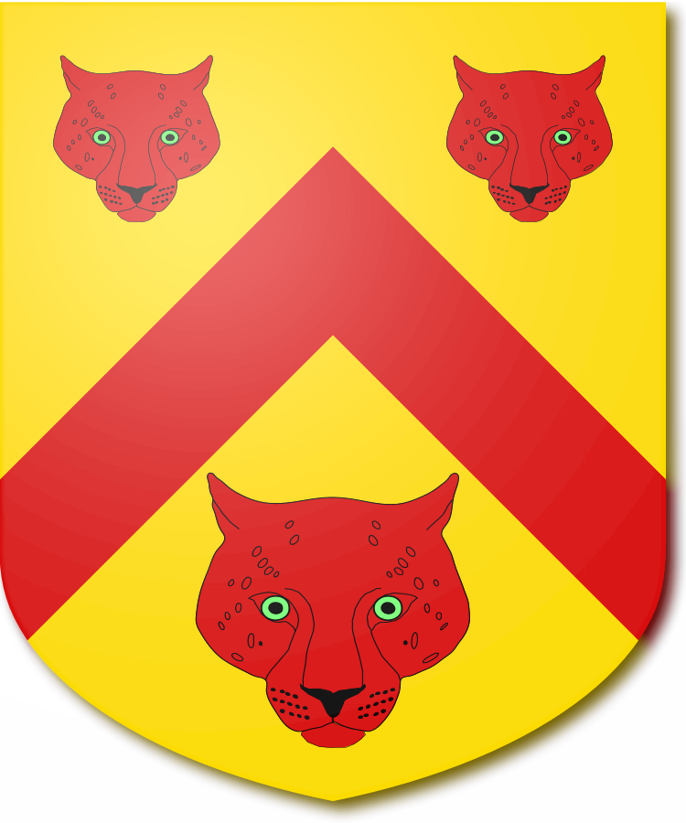 Shield image