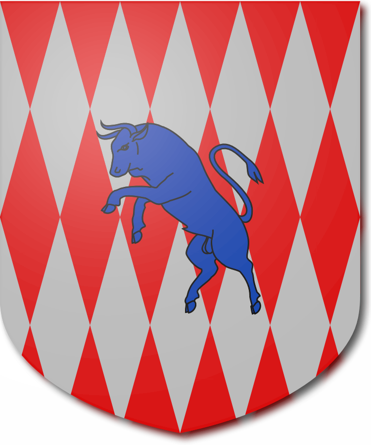 Shield image