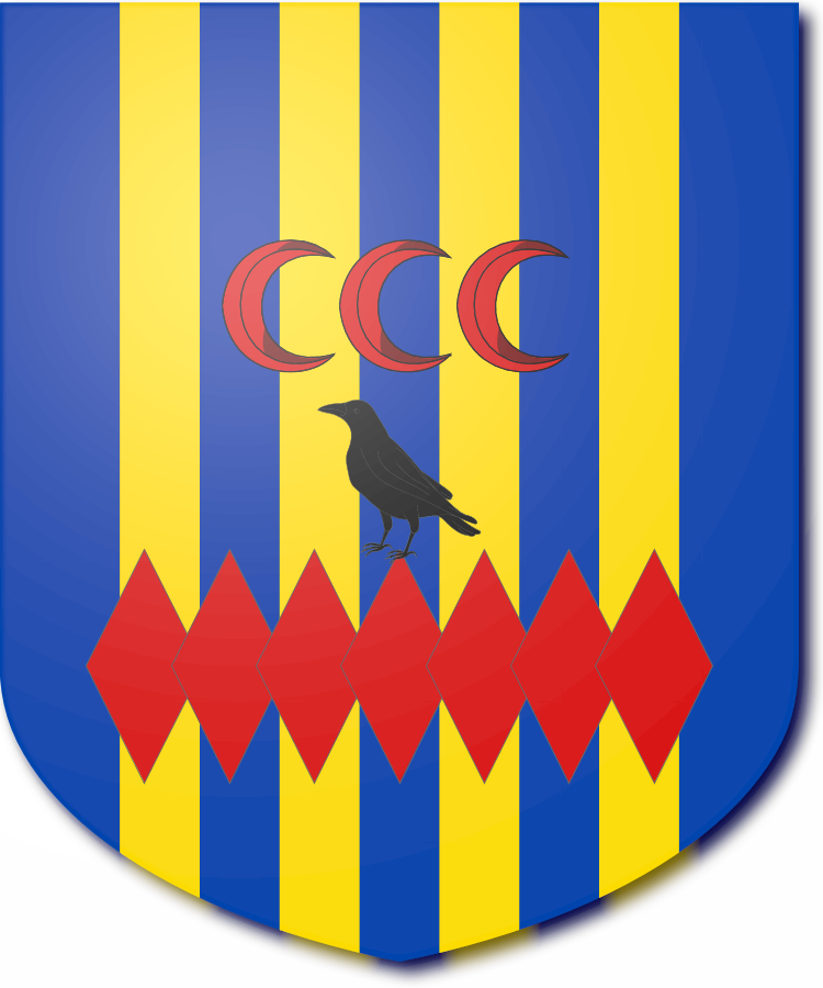 Shield image