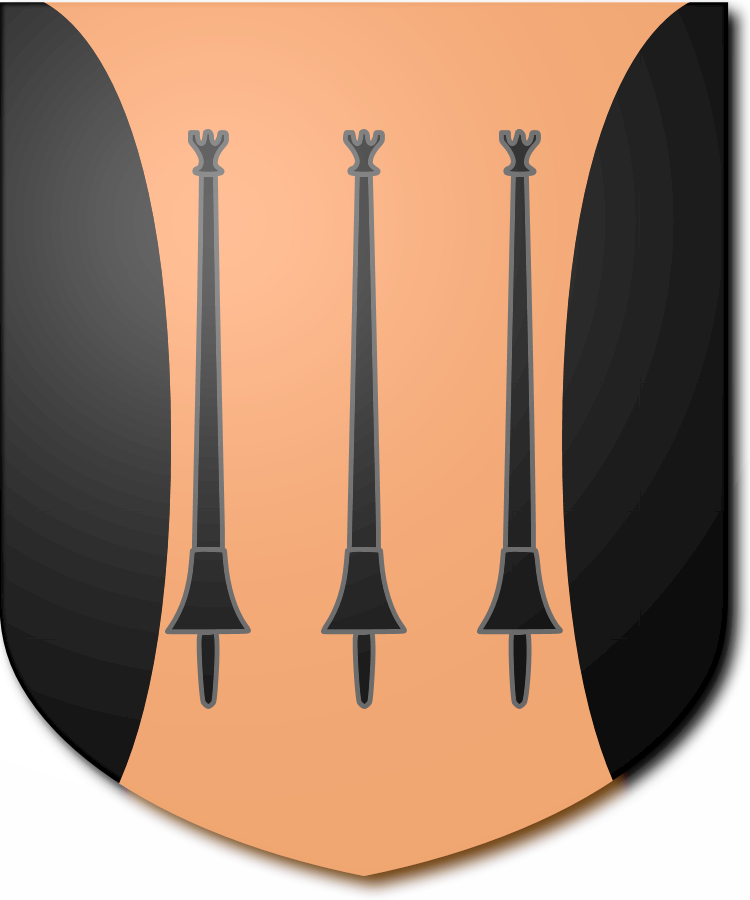 Shield image