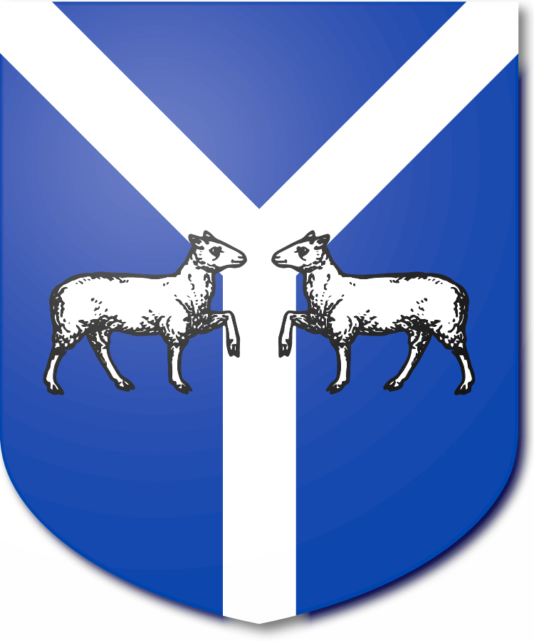 Shield image