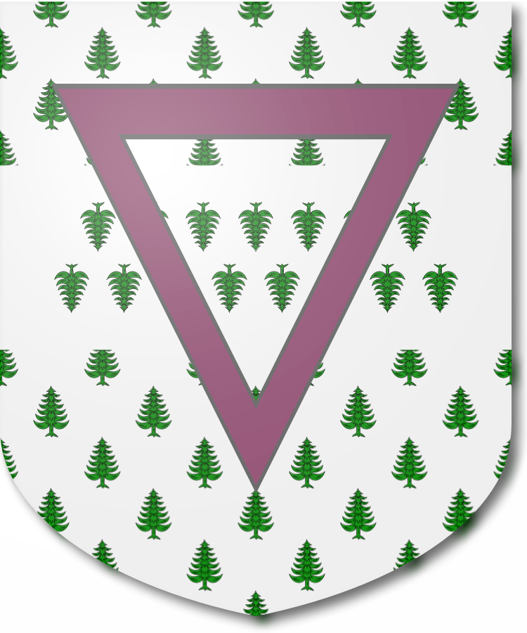 Shield image