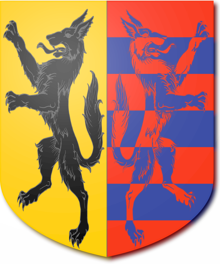 Shield image