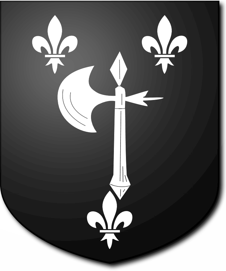 Shield image