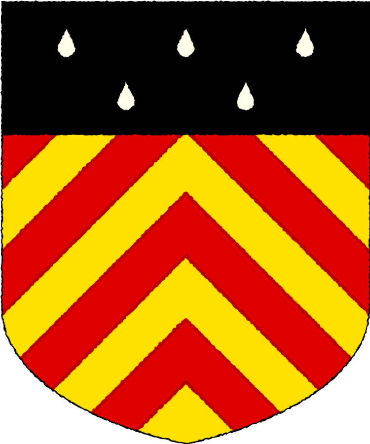 Shield image