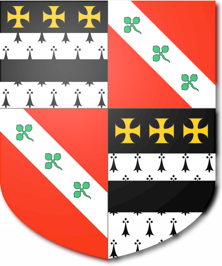 Shield image