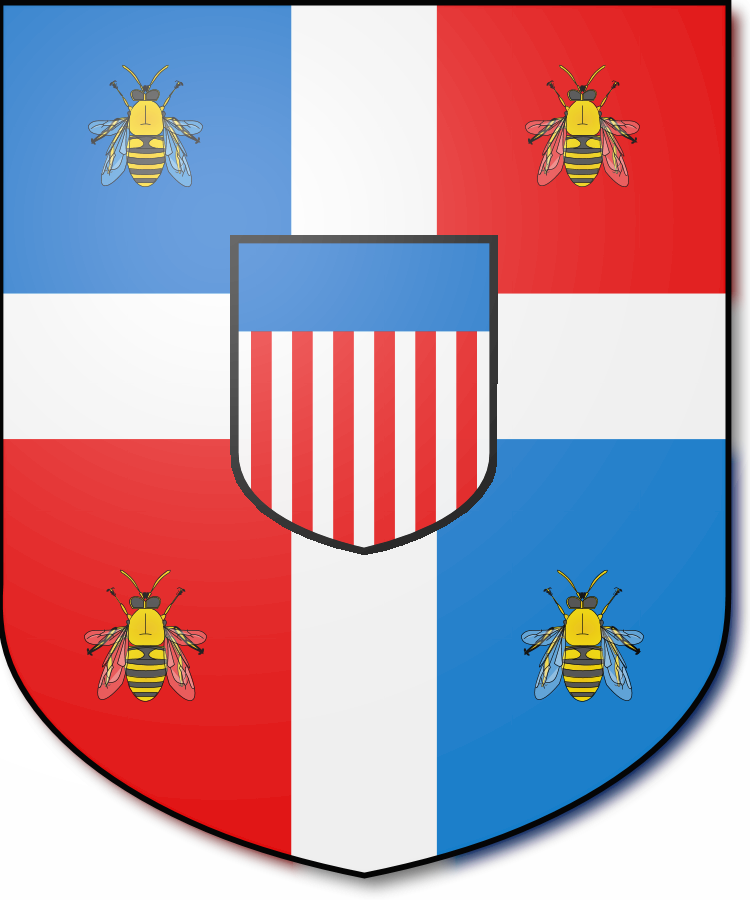 Shield image