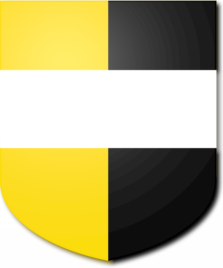 Shield image