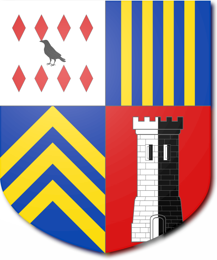 Shield image