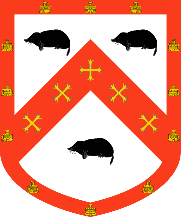 Shield image