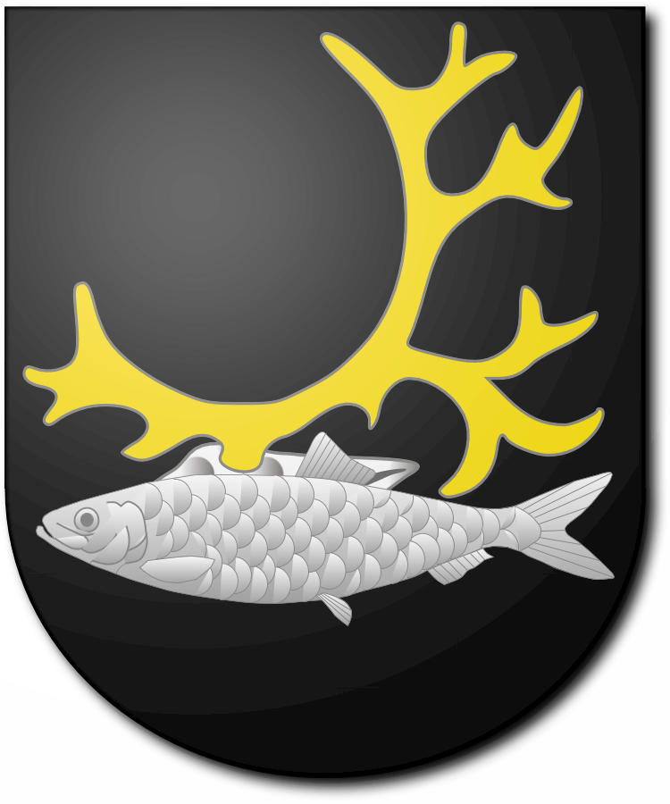 Shield image