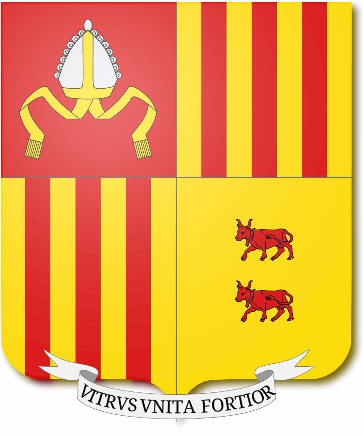 Shield image