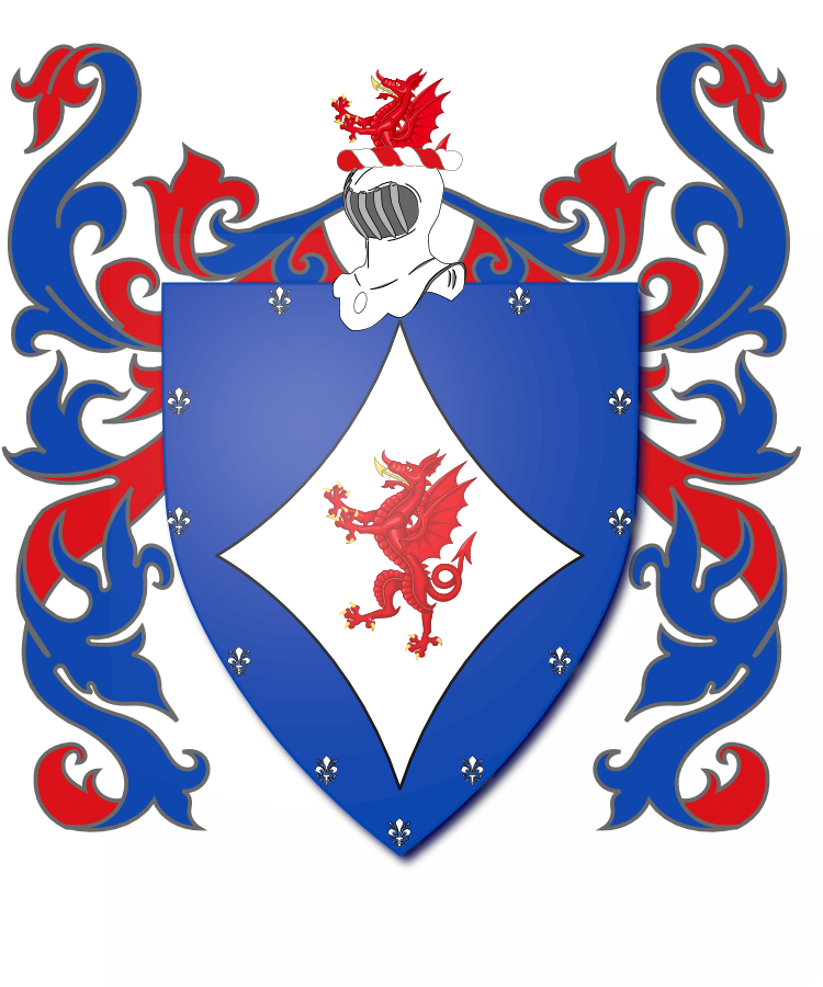 Shield image