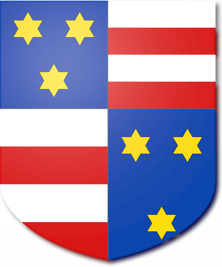 Shield image