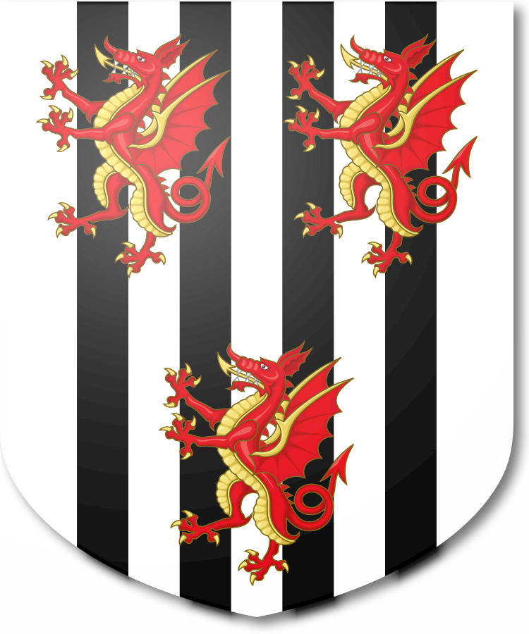 Shield image