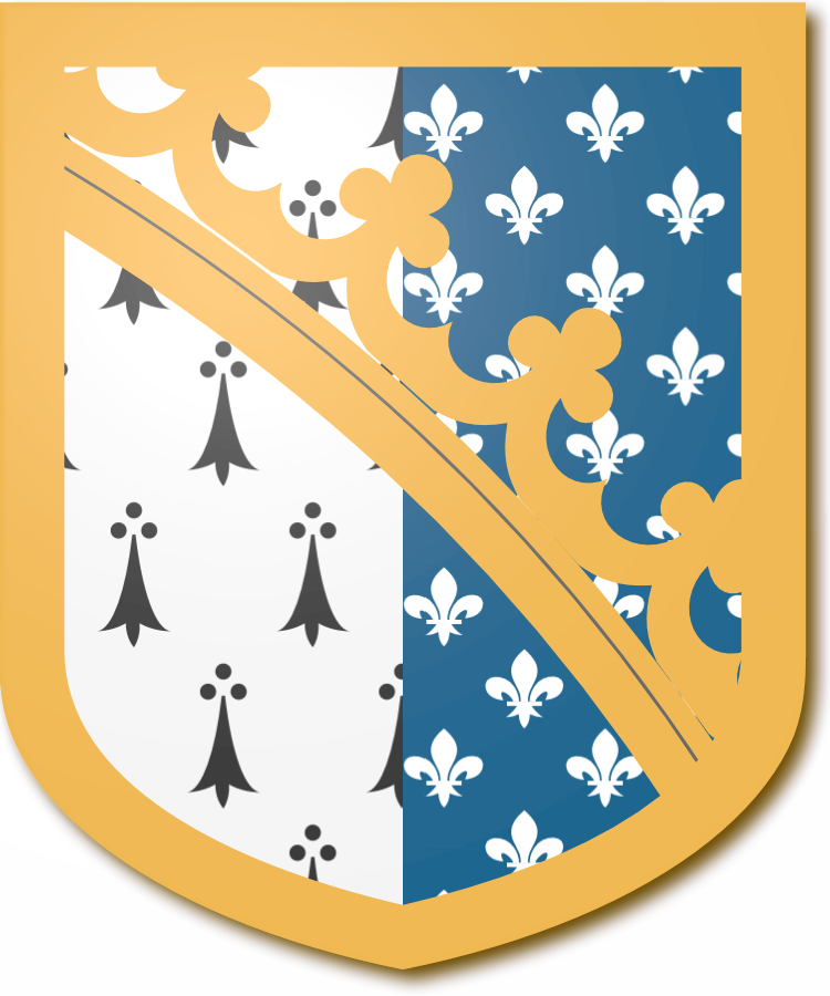 Shield image