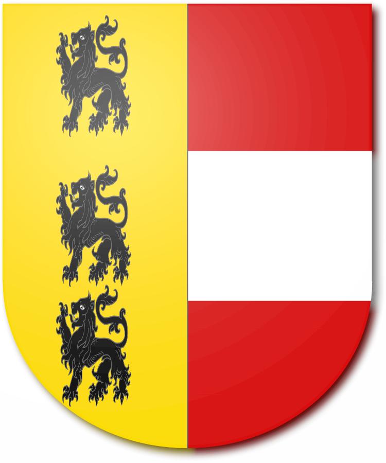 Shield image