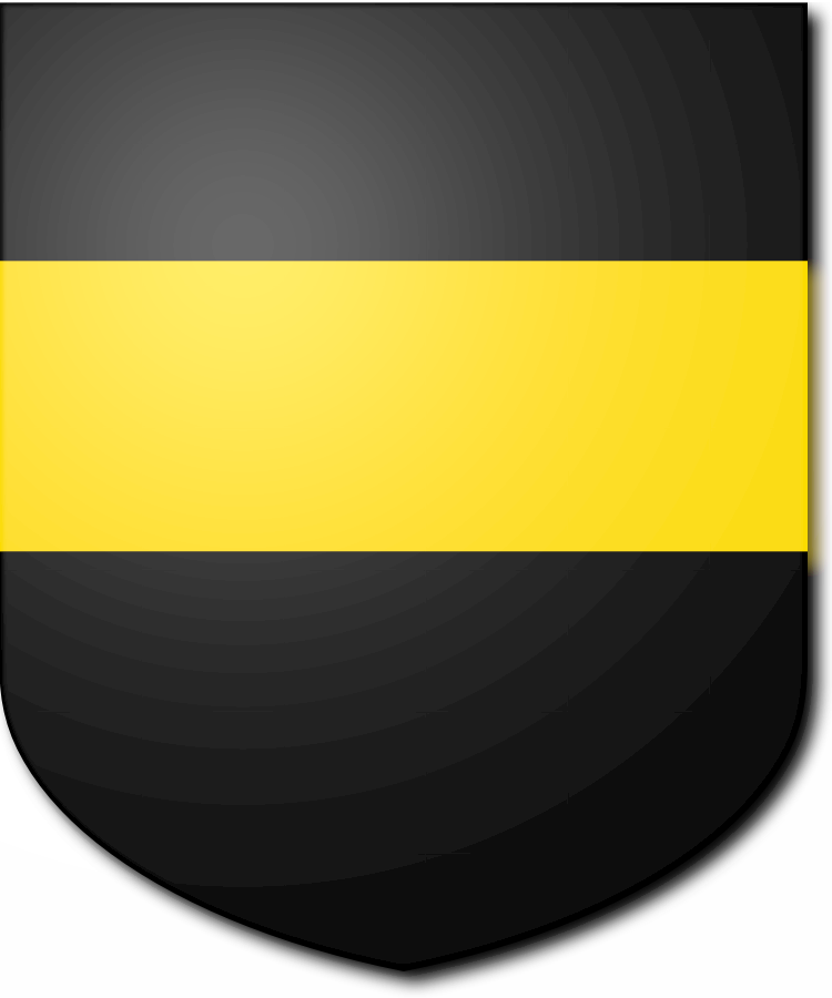 Shield image