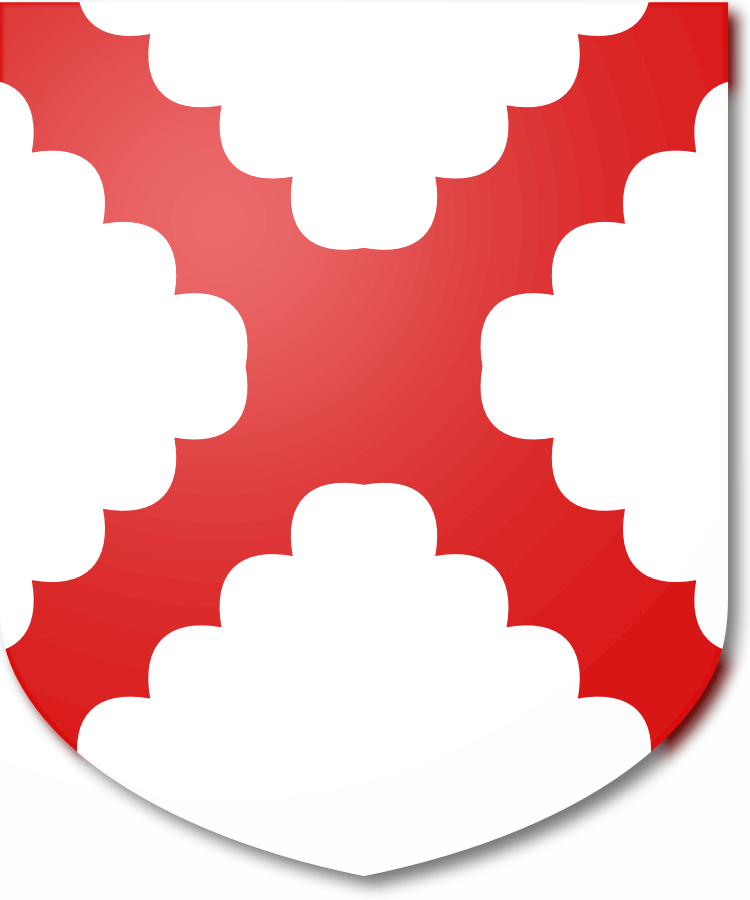 Shield image