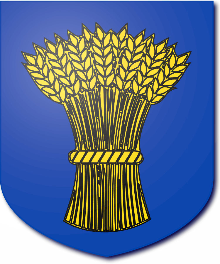 Shield image