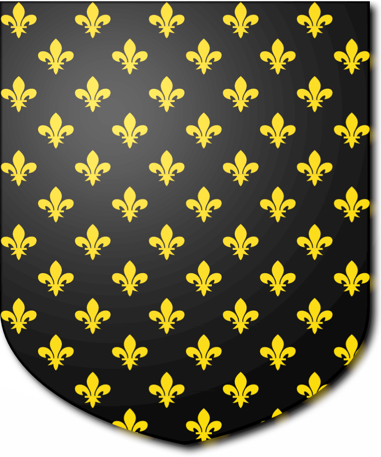 Shield image