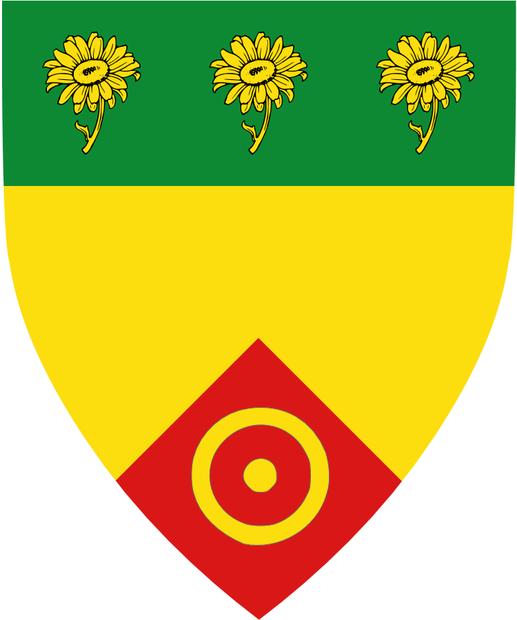 Shield image