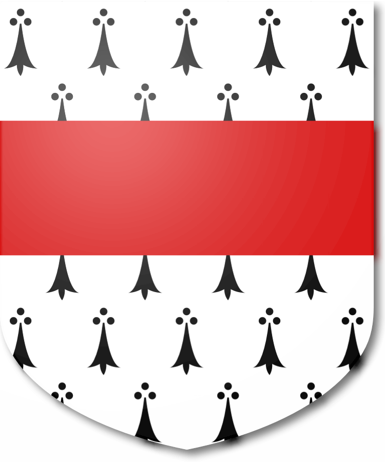 Shield image