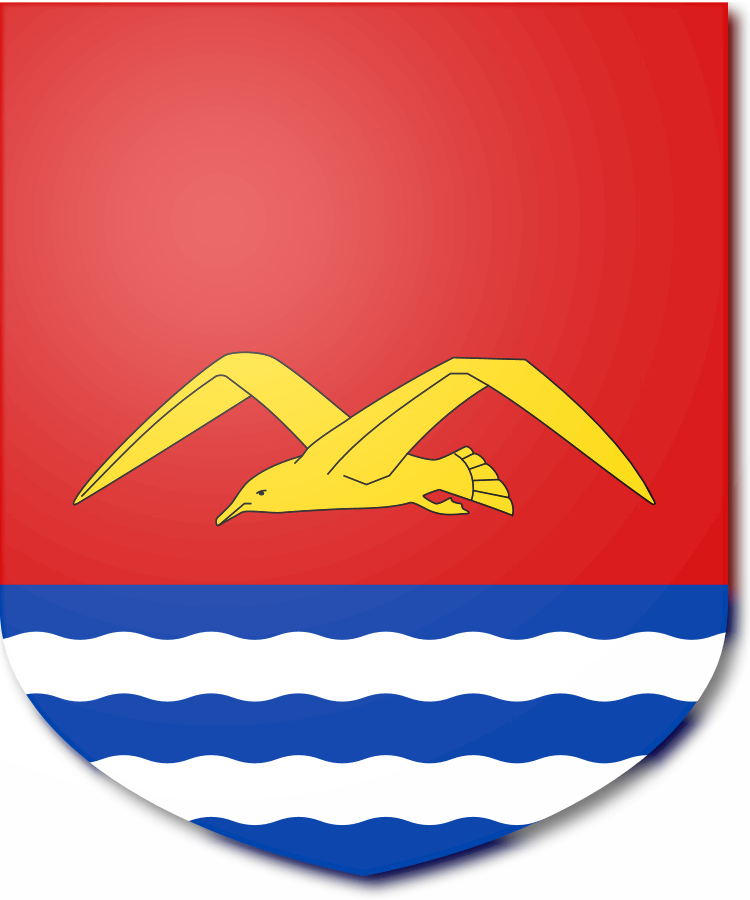 Shield image