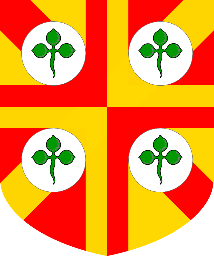 Shield image