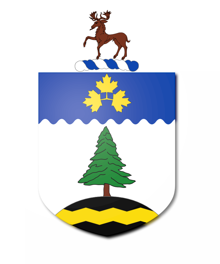 Shield image