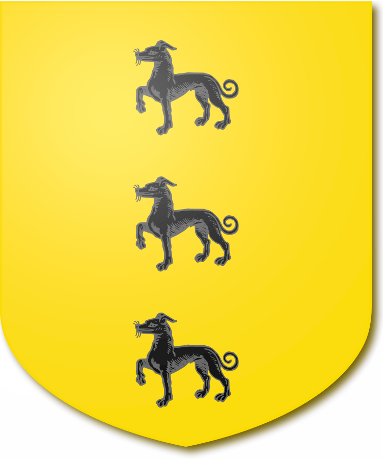 Shield image