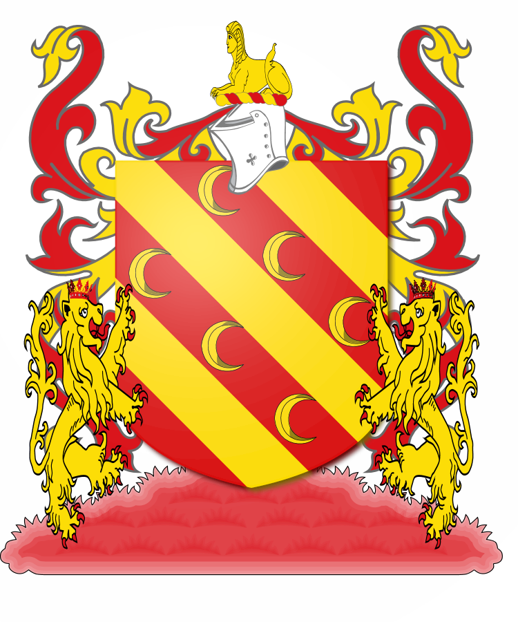 Shield image