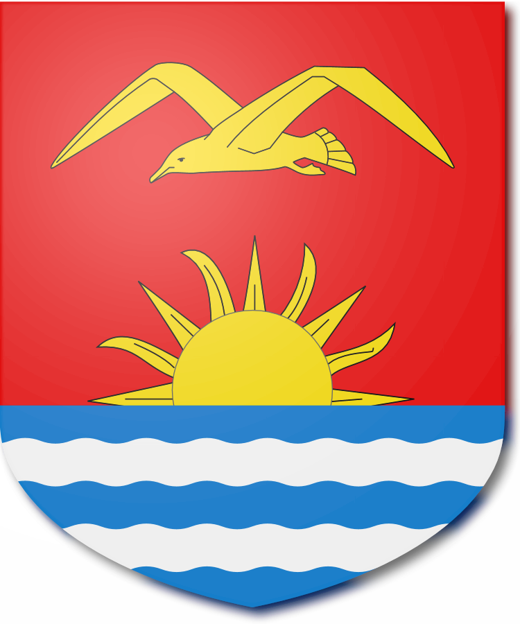 Shield image