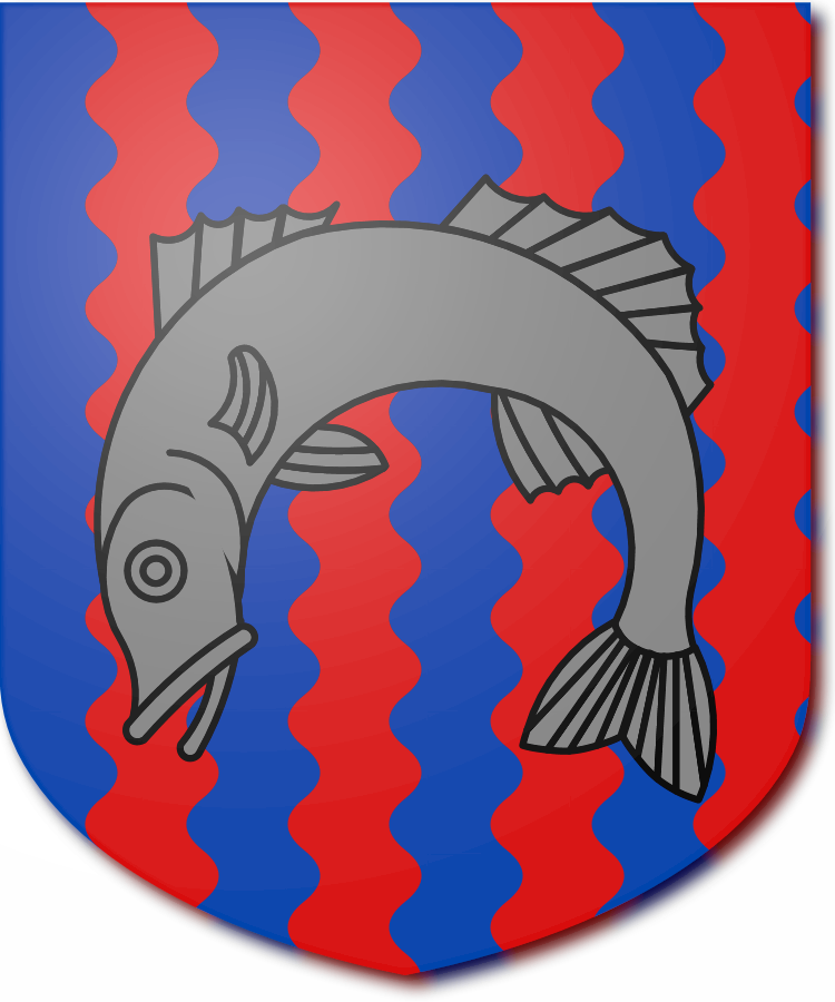 Shield image