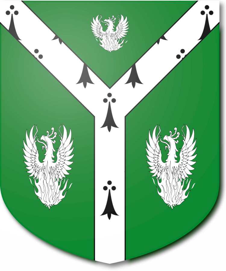 Shield image