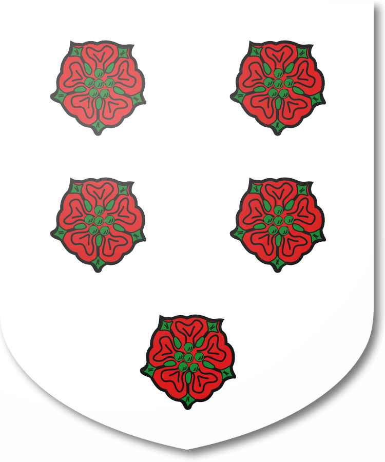 Shield image