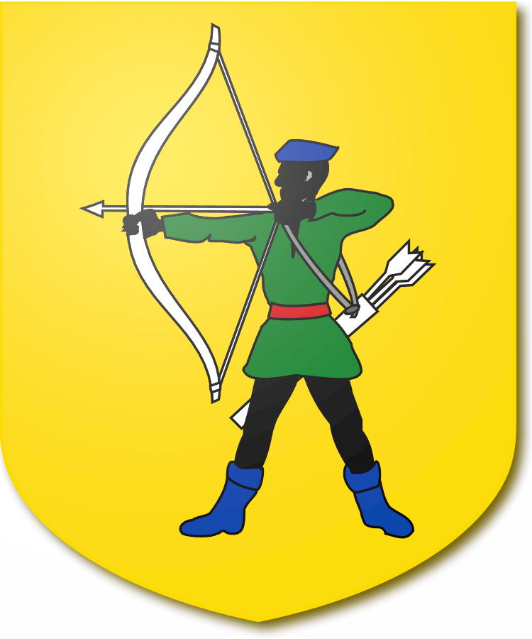 Shield image