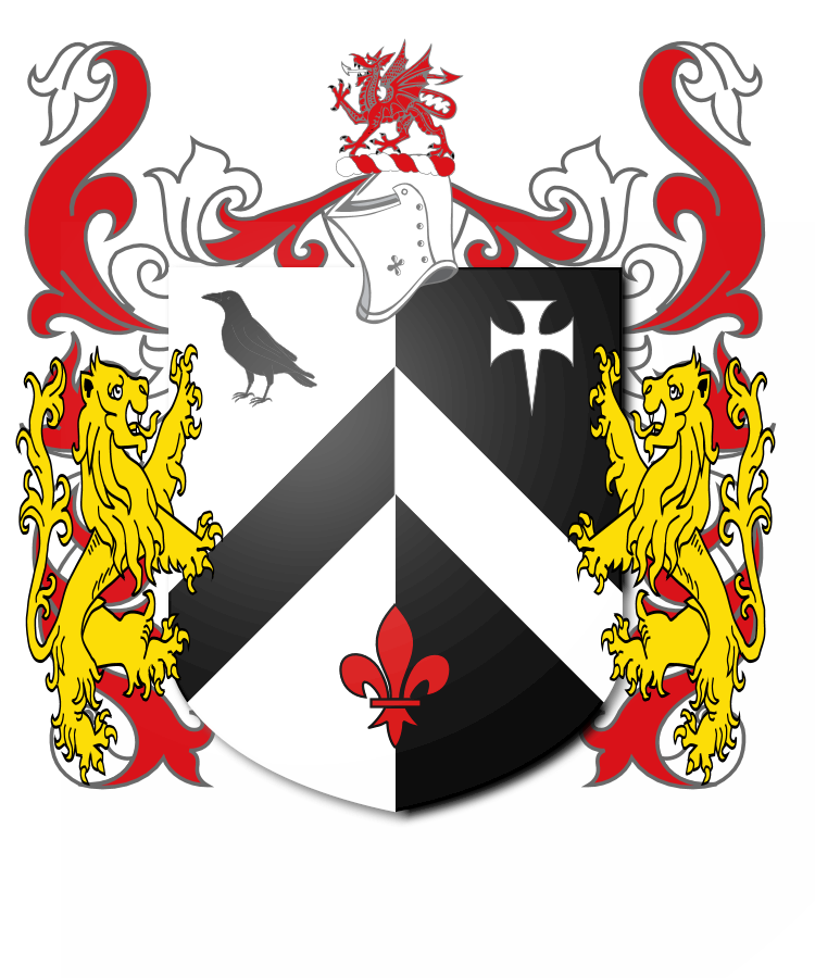 Shield image