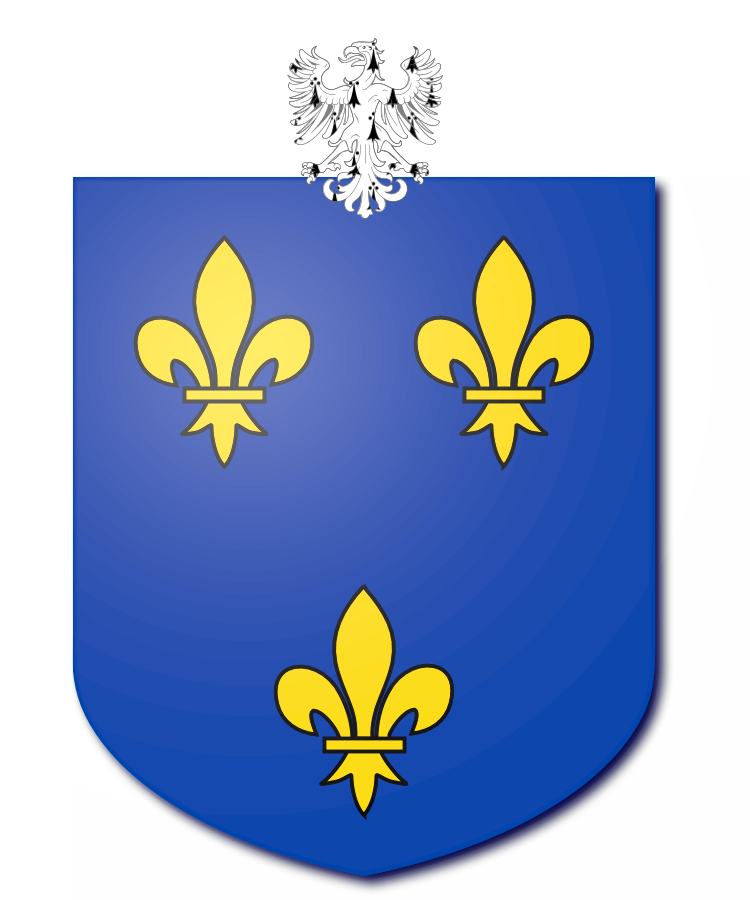 Shield image