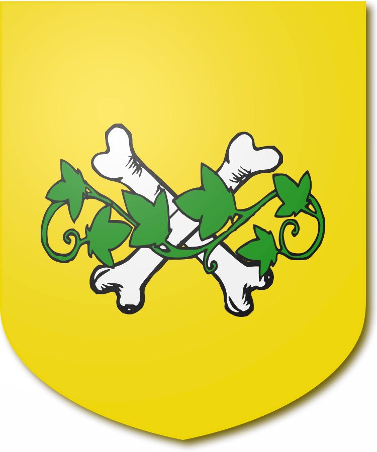 Shield image