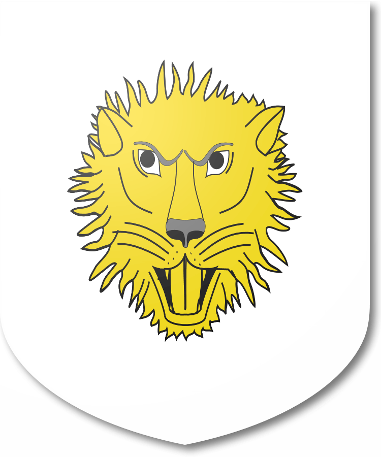 Shield image