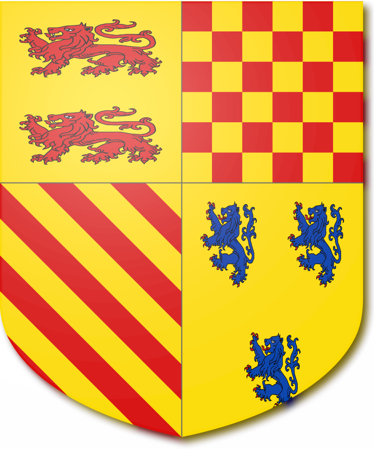 Shield image