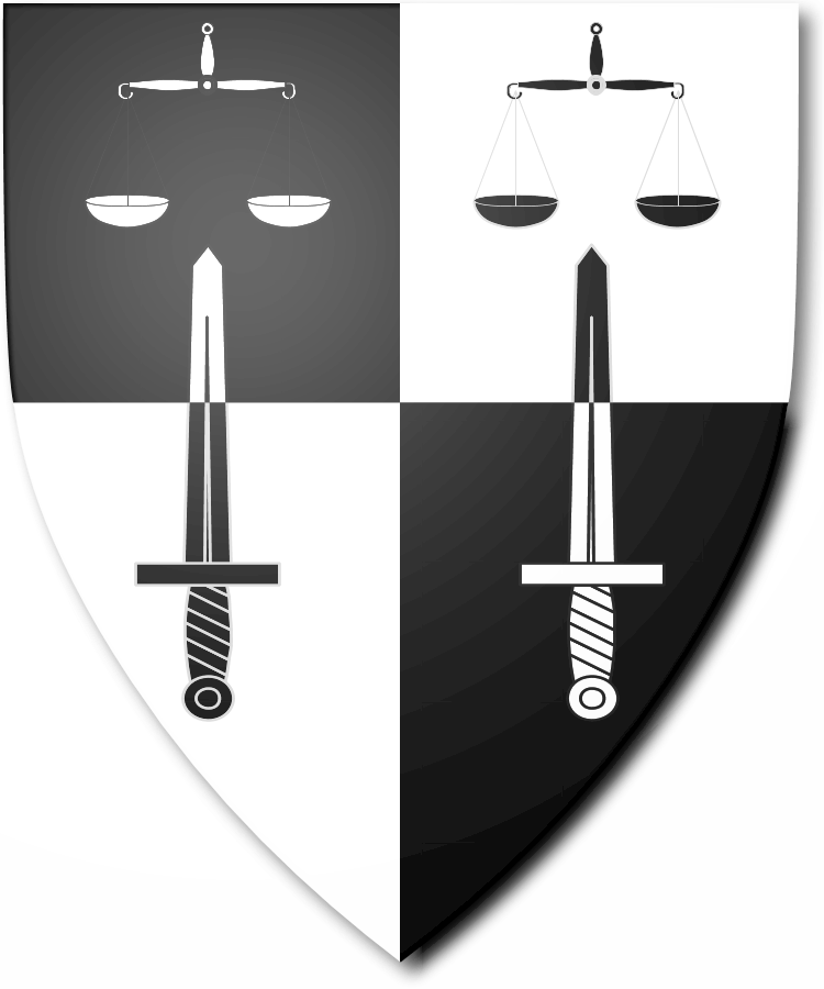 Shield image