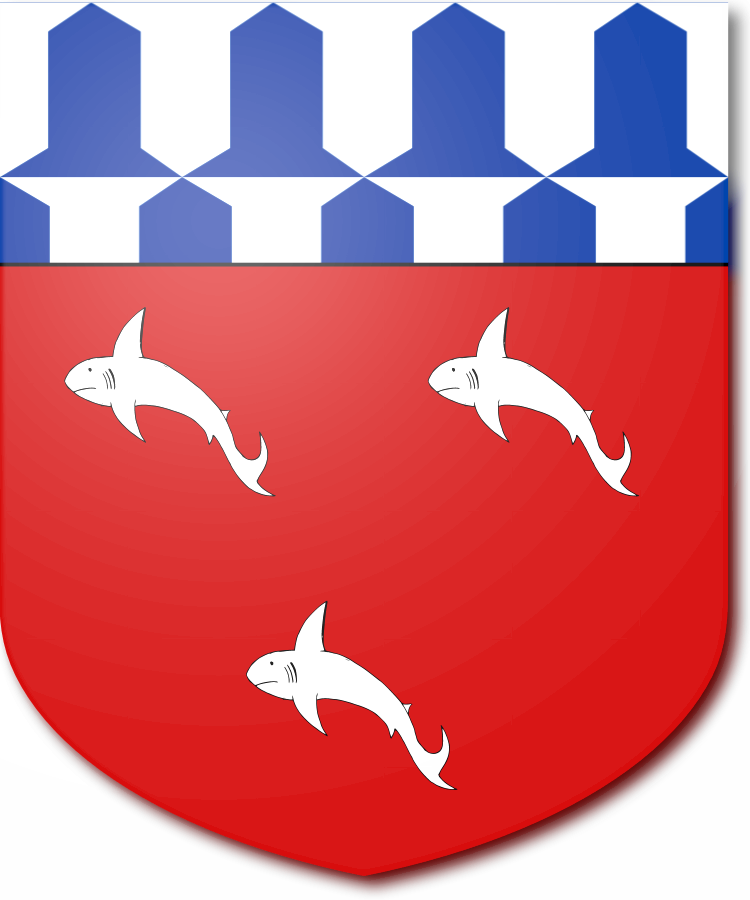 Shield image