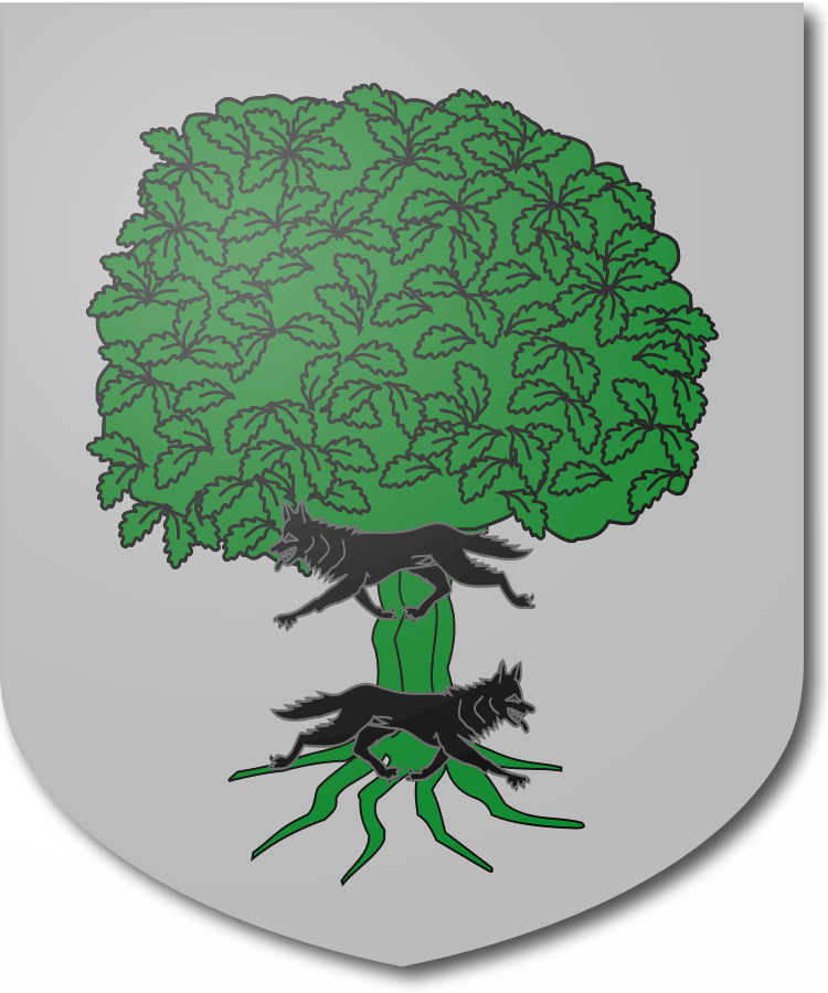 Shield image