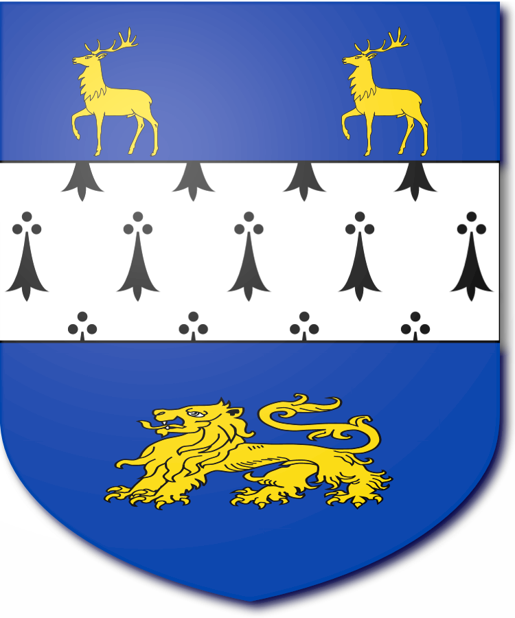 Shield image