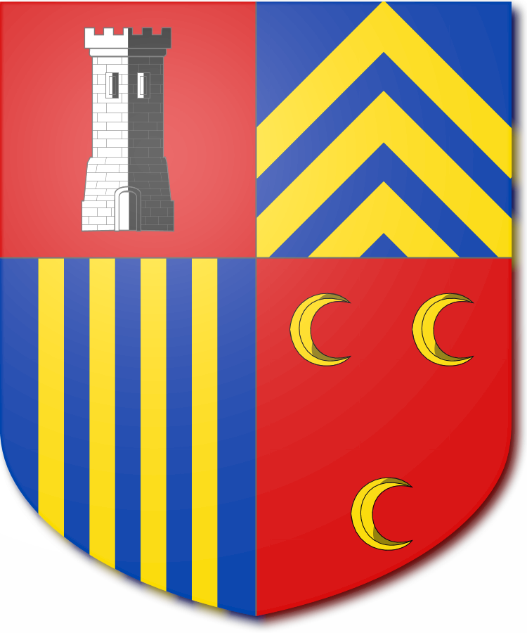 Shield image