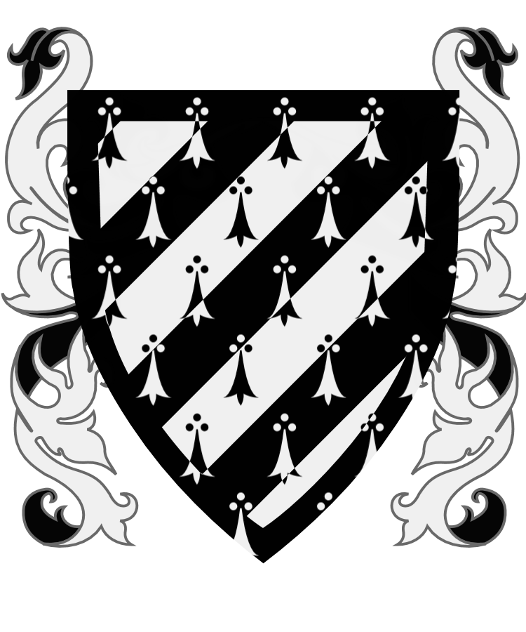 Shield image